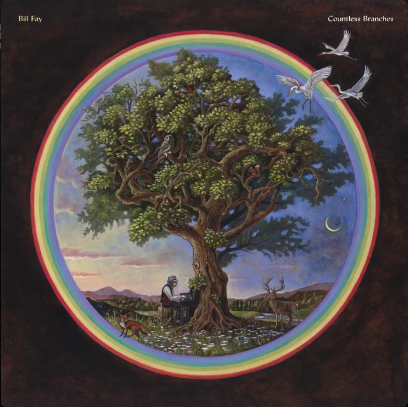 Countless Branches | Bill Fay | Album
